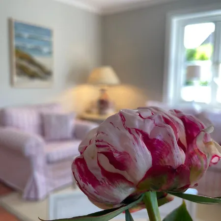 Hues Andersen Hues C - Kloenstuv *